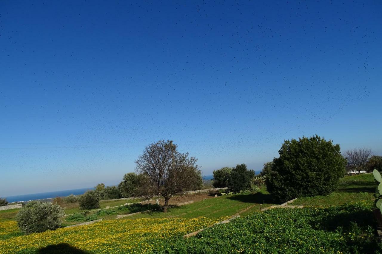 Il Fico D'India Dell'Antico Orto Villa Ostuni Exterior photo