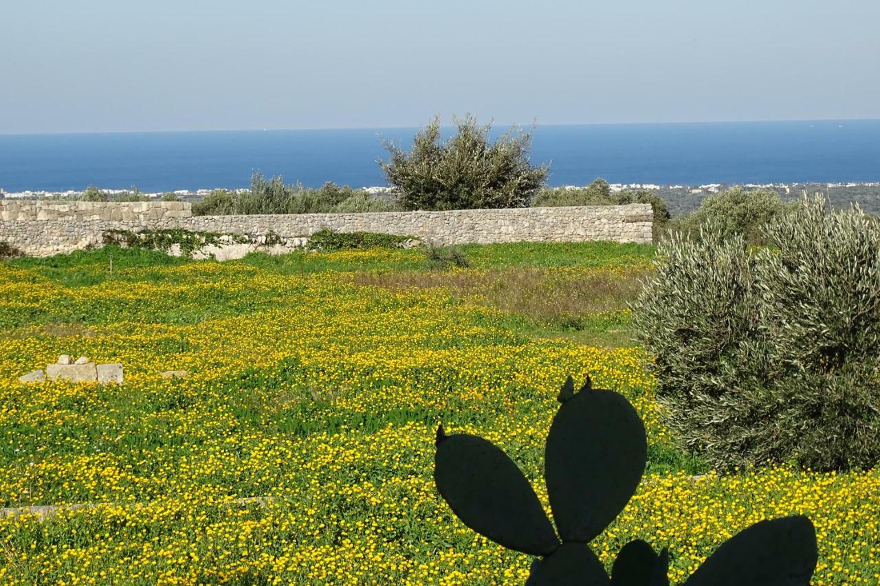 Il Fico D'India Dell'Antico Orto Villa Ostuni Exterior photo