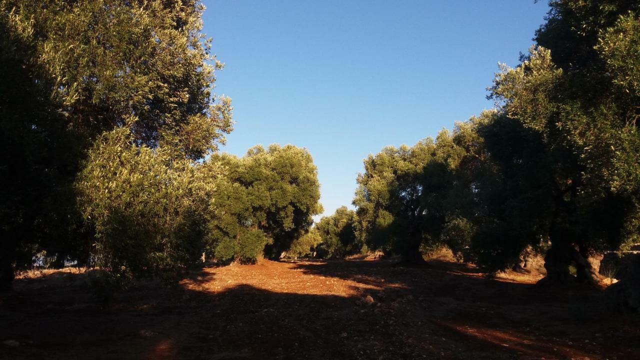 Il Fico D'India Dell'Antico Orto Villa Ostuni Exterior photo